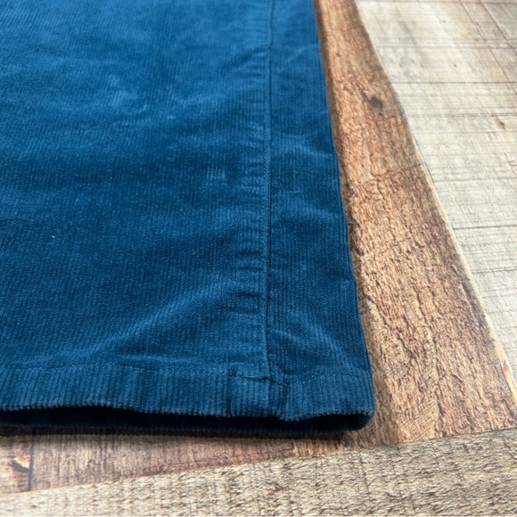 Patagonia Organic Cotton Corduroy Pants Teal Blue Size 27 Short 4 Gorpcore - Picture 2 of 7